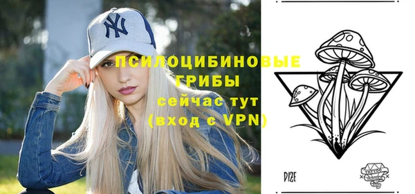 дживик Приозерск