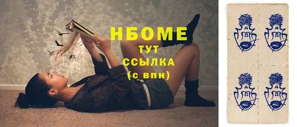 прущие грибы Коряжма