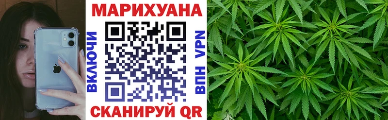 Конопля сатива Константиновск